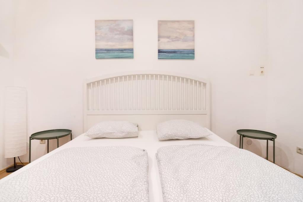 Spacious Central Apartment 维也纳 外观 照片