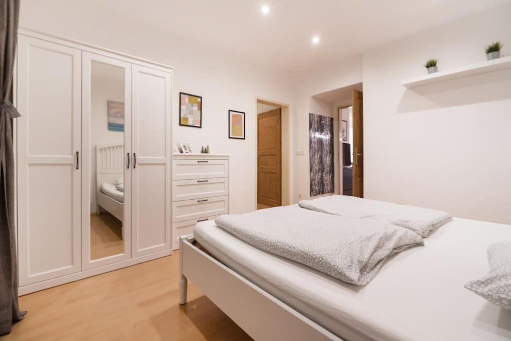 Spacious Central Apartment 维也纳 外观 照片