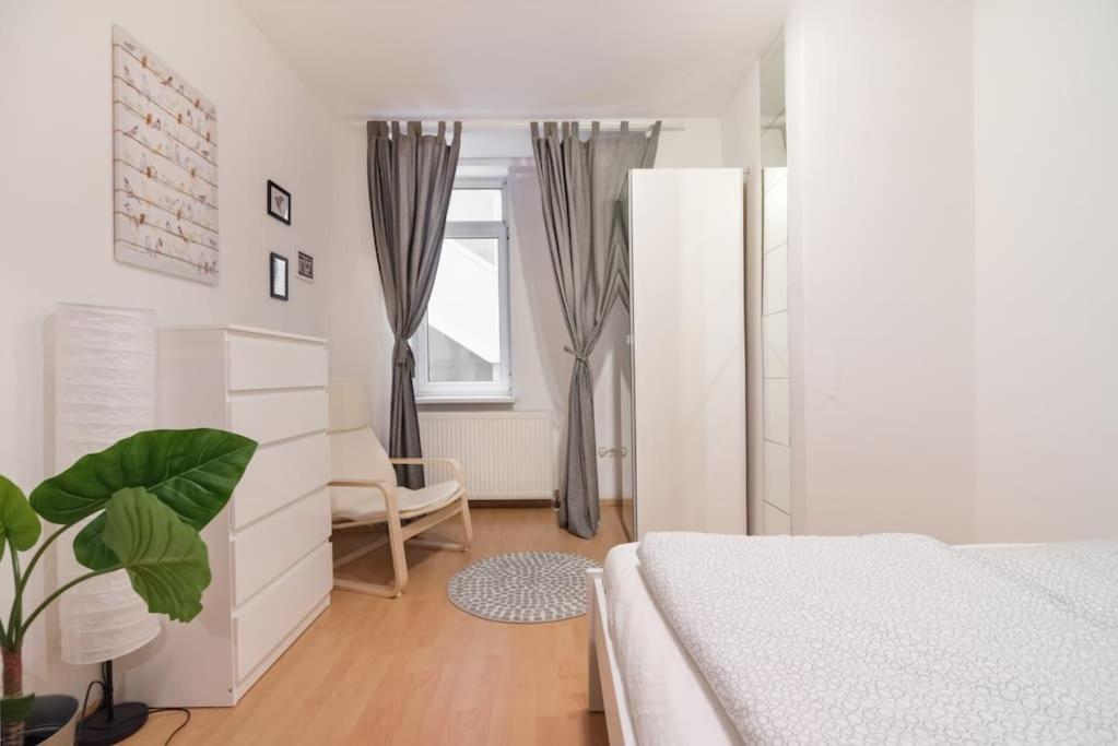 Spacious Central Apartment 维也纳 外观 照片